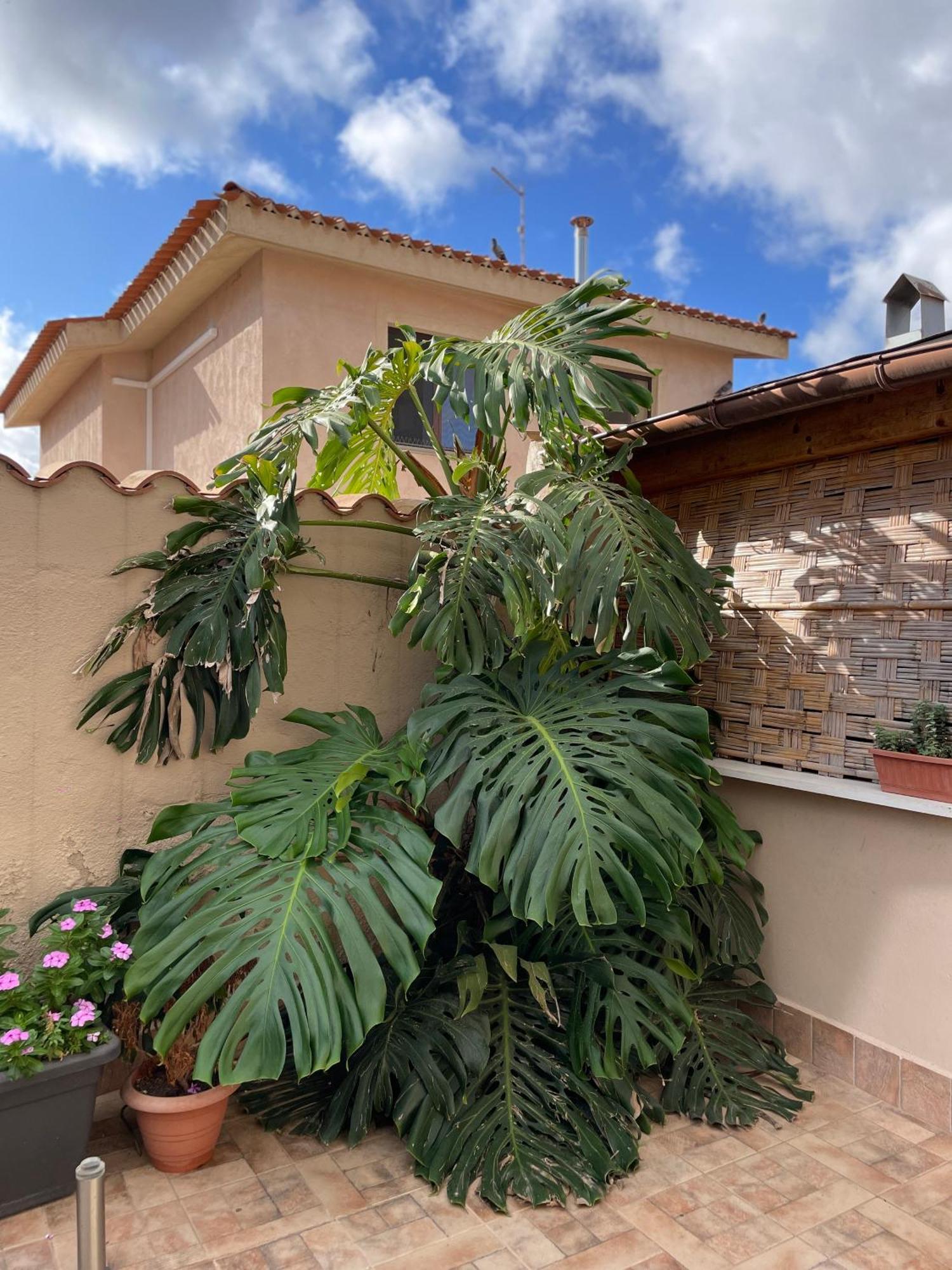 40° Parallelo Guest House Riola Sardo Bagian luar foto